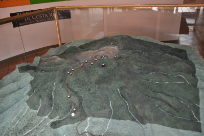photo 410872