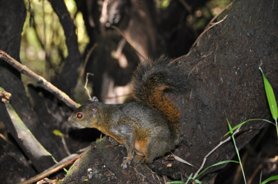 photo 410873