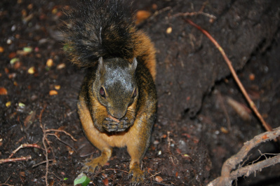 photo 410878