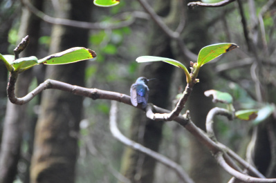 photo 410884