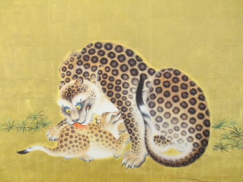 photo 561253