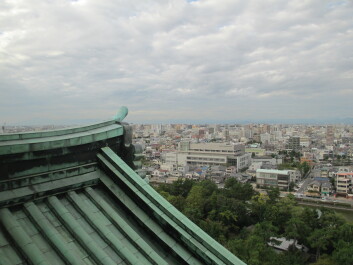 photo 561283