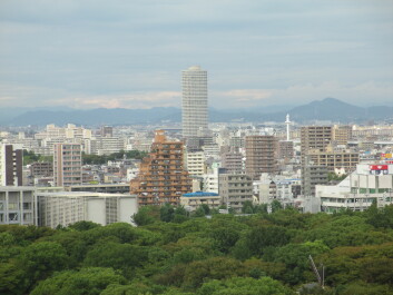 photo 561284