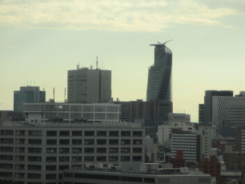 photo 561286