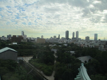 photo 561287