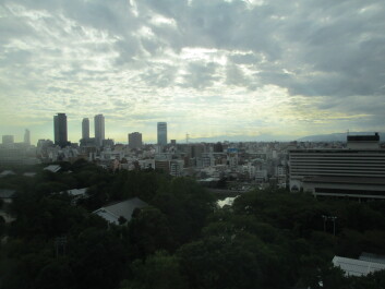 photo 561288