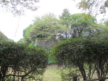photo 561330