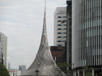photo 561332