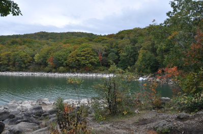 photo 615201