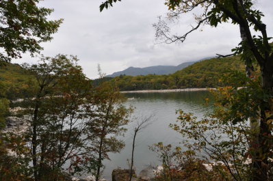 photo 615202