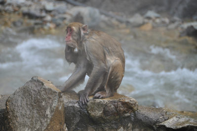 photo 615215