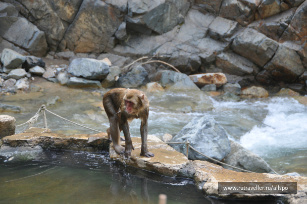 photo 615223