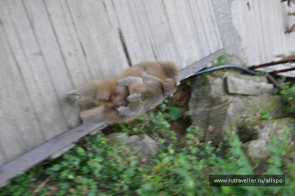 photo 615242