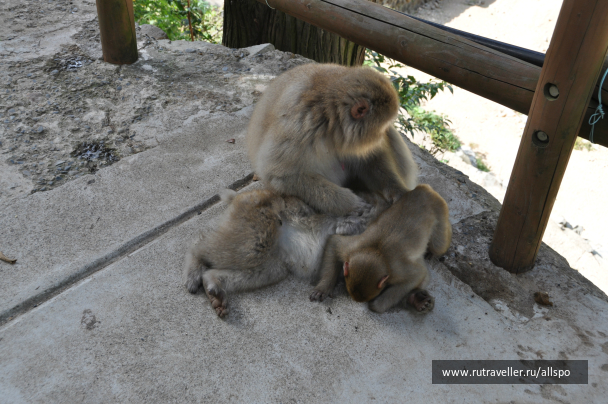 photo 615244