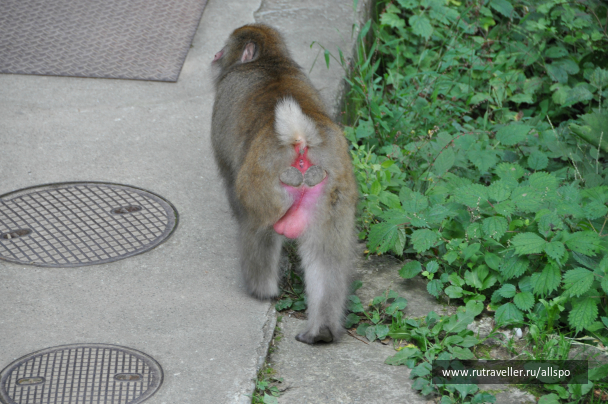 photo 615248