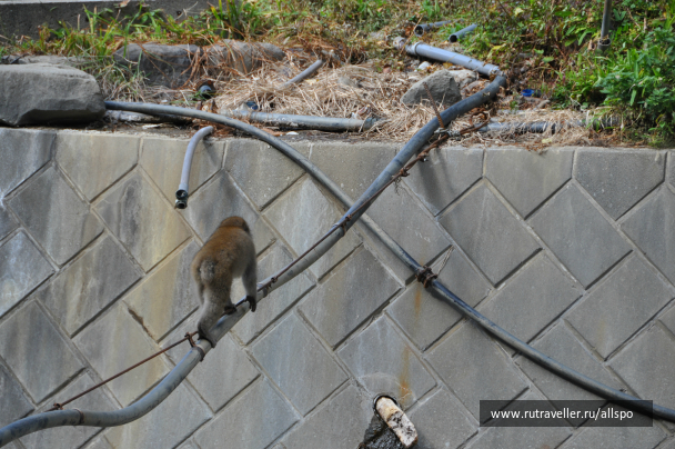 photo 615253