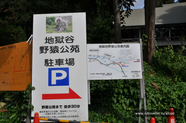 photo 615271