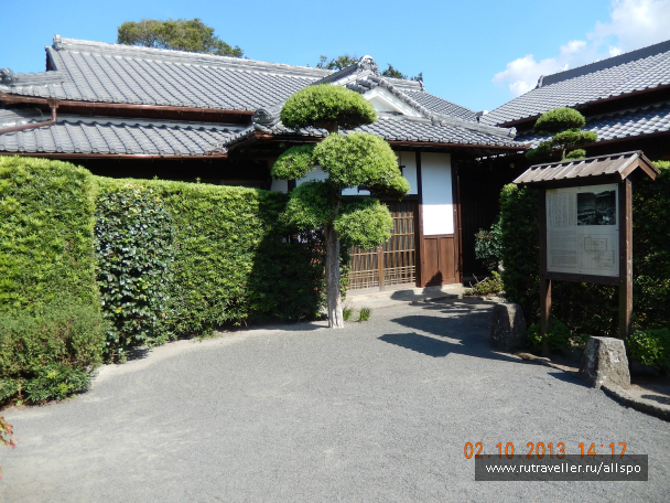photo 621710