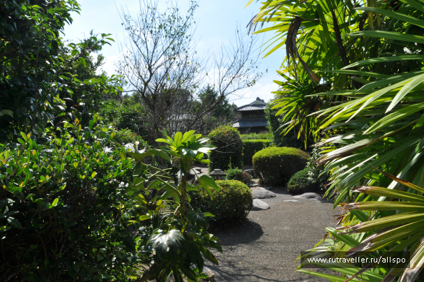 photo 621737