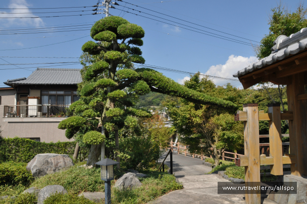 photo 621752