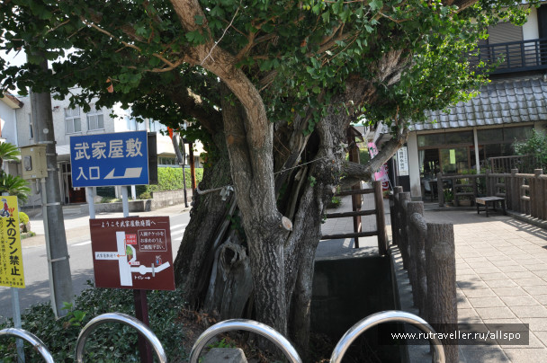 photo 621753