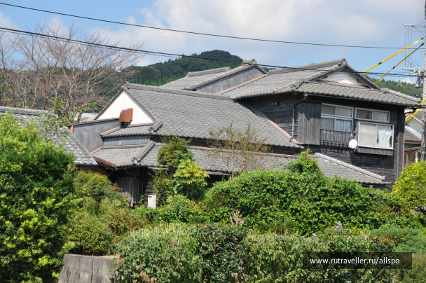 photo 621764