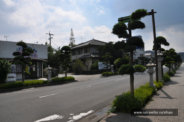 photo 621771