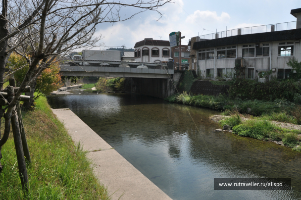 photo 621782