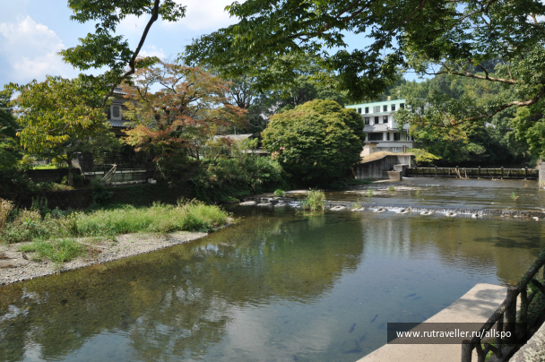 photo 621783