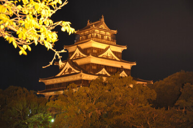 photo 35761