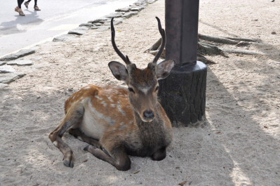 photo 35786