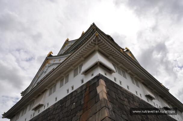 photo 40004