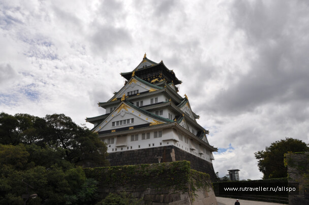 photo 40010