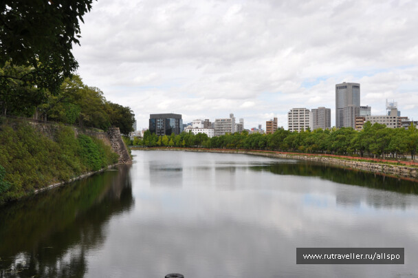 photo 40013