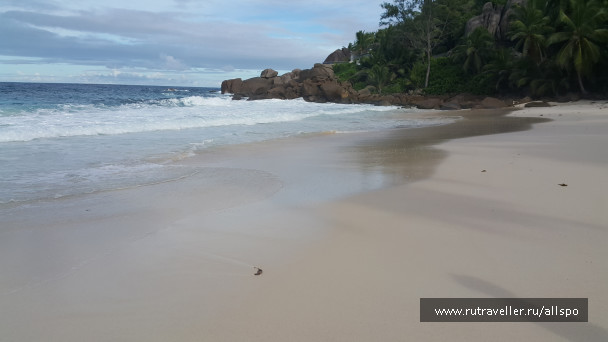 photo 1167754