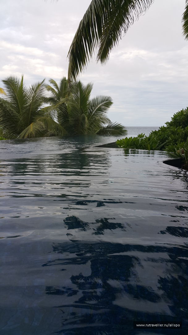 photo 1167759