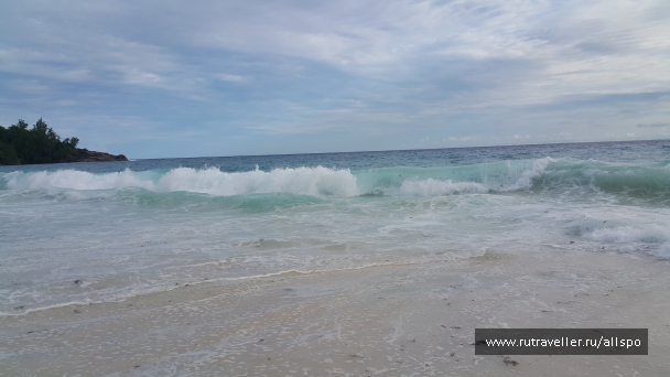 photo 1167763
