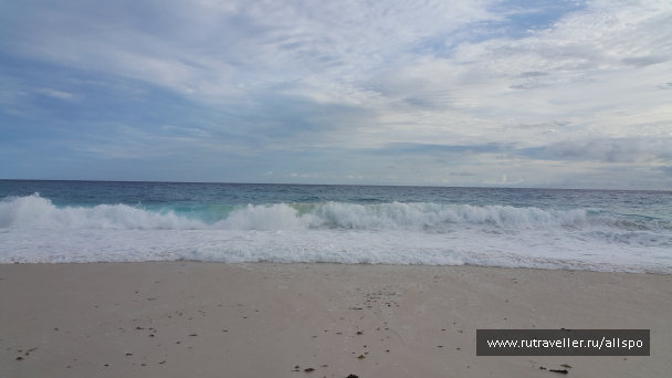 photo 1167764
