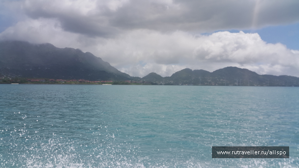 photo 1167773