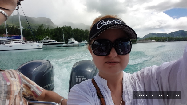 photo 1167774