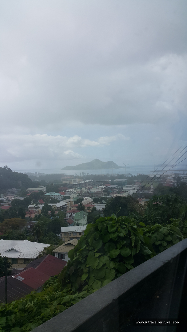 photo 1167779