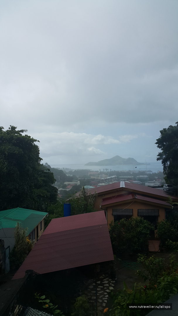 photo 1167781