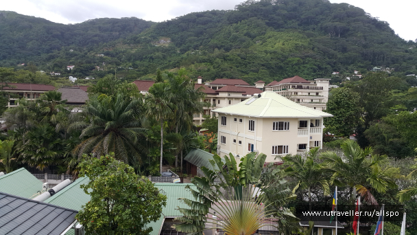 photo 1168964