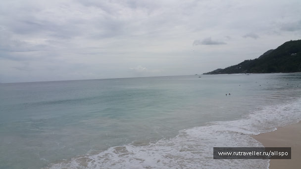 photo 1168965