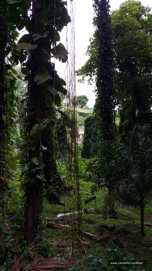 photo 1168971