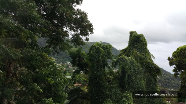 photo 1168976