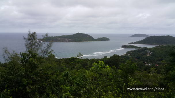 photo 1168984