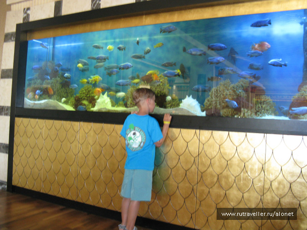 photo 130176