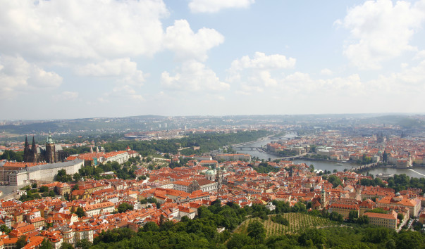 _MG_0608