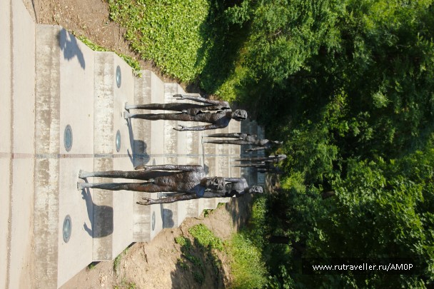 photo 229019